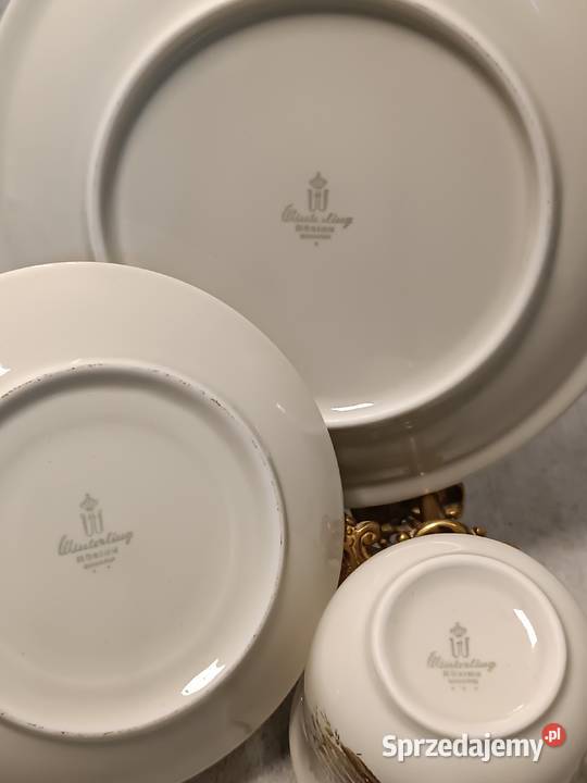 WINTERLING Filiżanka Rslau Paproć Bavaria Trio Dobrzany