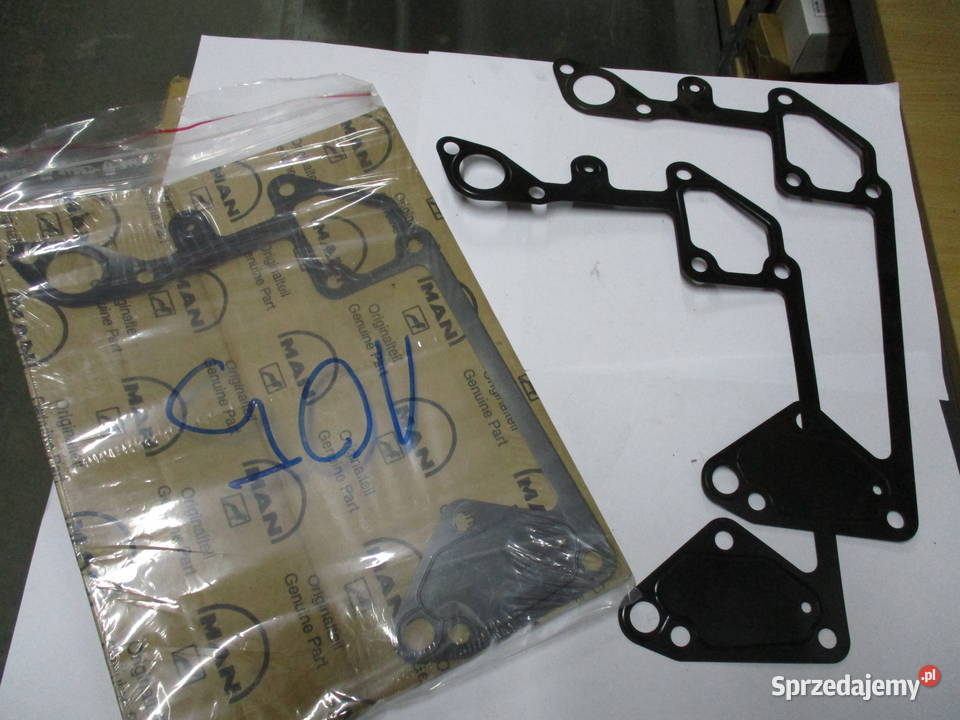 Uszczelka pompy cieczy chłodzącej Man kujawsko-pomorskie Mogilno