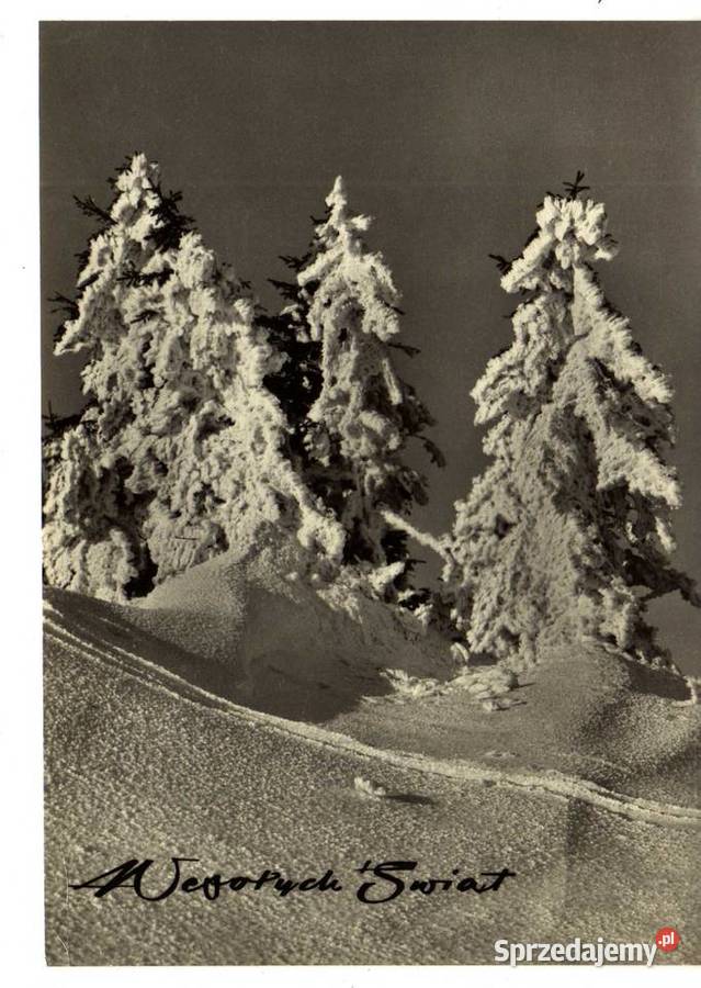 POCZTÓWKA OKOLICZNOŚCIOWA ŚWIĘTA CZARNO BIAŁA Krynki