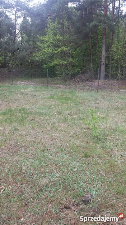 działka budowlana 4340m2 Przykory gmina Pniewy metalowe mazowieckie Przykory sprzedam