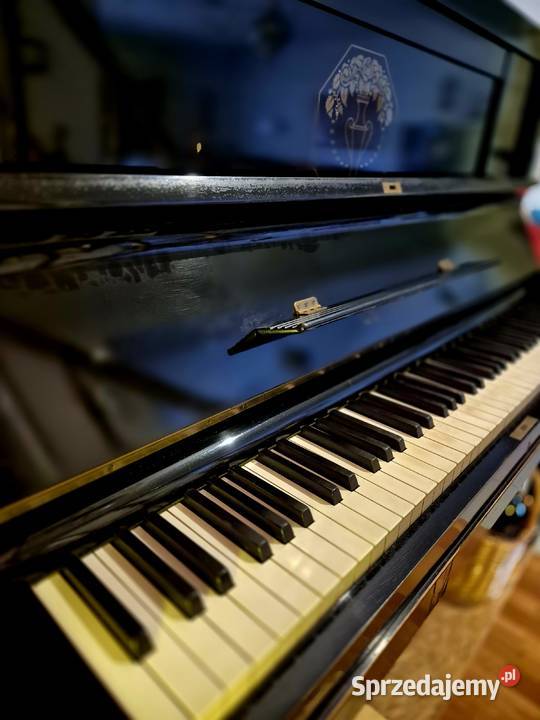 Pianino EDSEILER Górki Wielkie