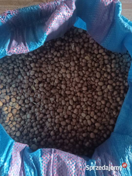 Bobik Bombas Maciejowice