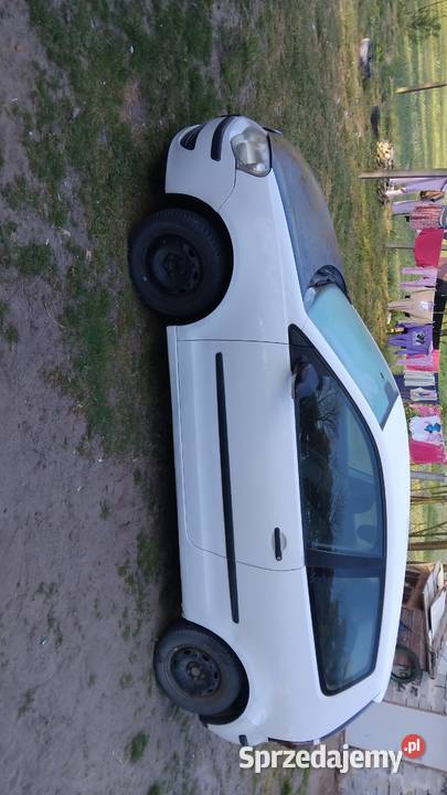 sprzedam volkswagen polo 5 nieuszkodzony Kluczewsko