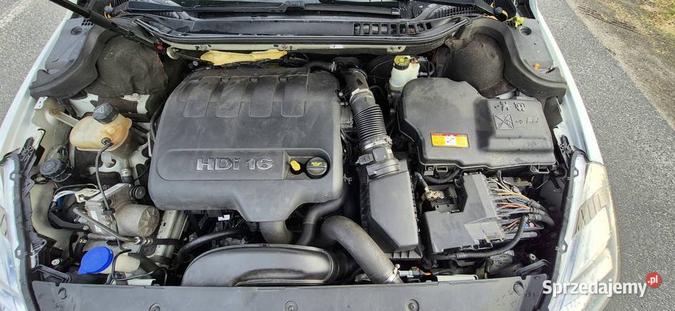 PEUGEOT 508 SW 20 HDI Sulechów