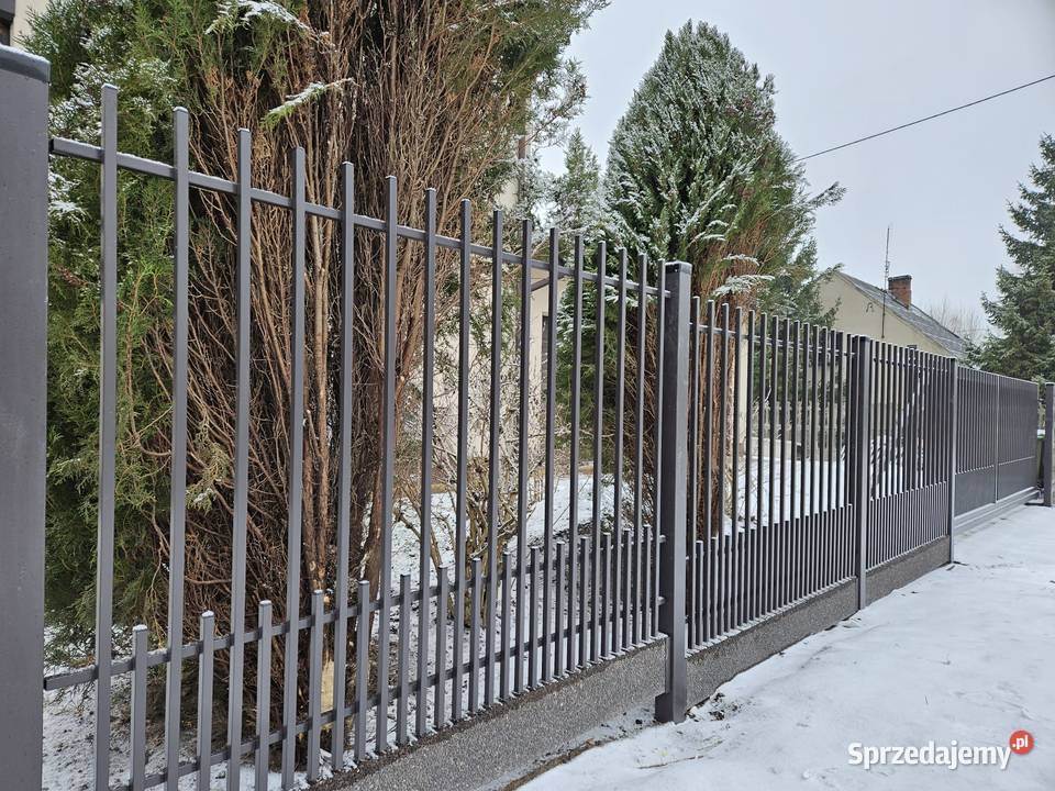 Brama skrzydłowa 500x120 QUEEN ogrodzenia bramy Kalisz