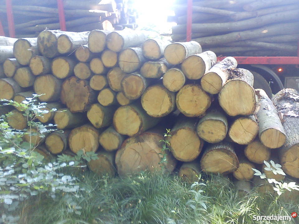 Drewno opałowekominkowe Bytom