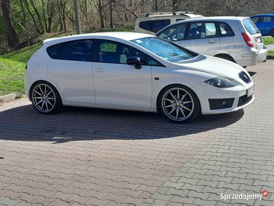 Seta Leon 2 18 fr 2012 Kraków