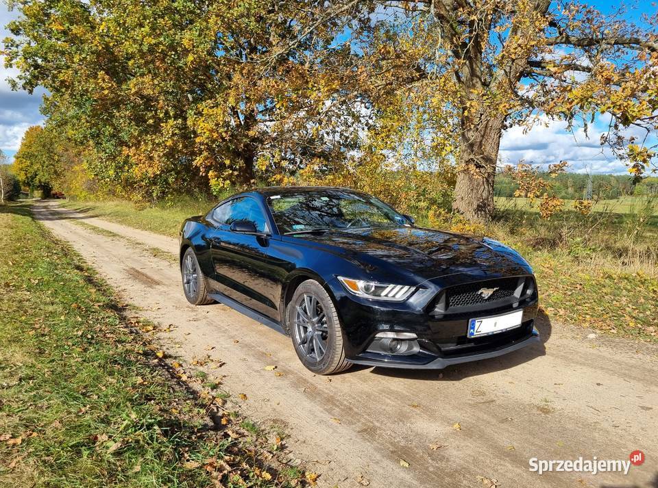 Ford Mustang V6 305 125200km Drawsko Pomorskie sprzedam