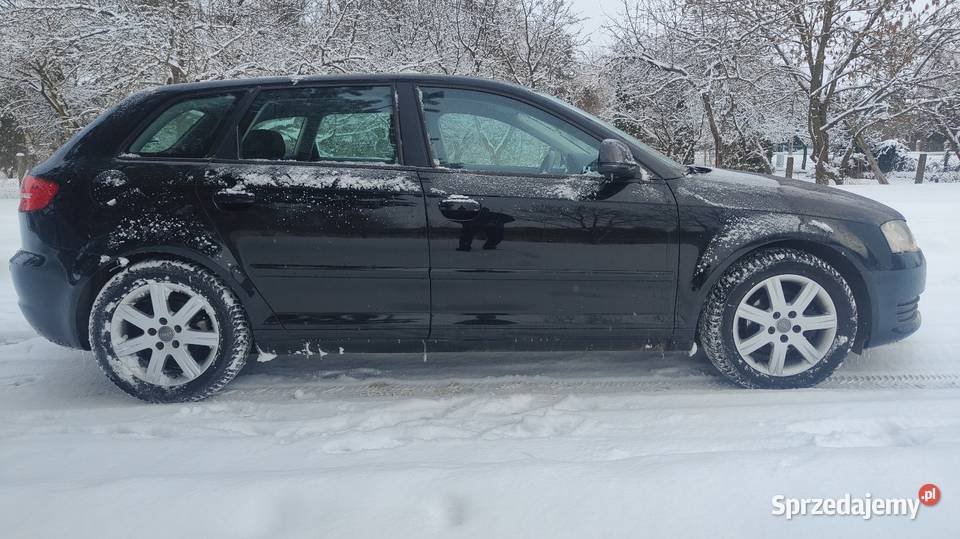 Audi A3 2008 R 19 TDI Biała Podlaska