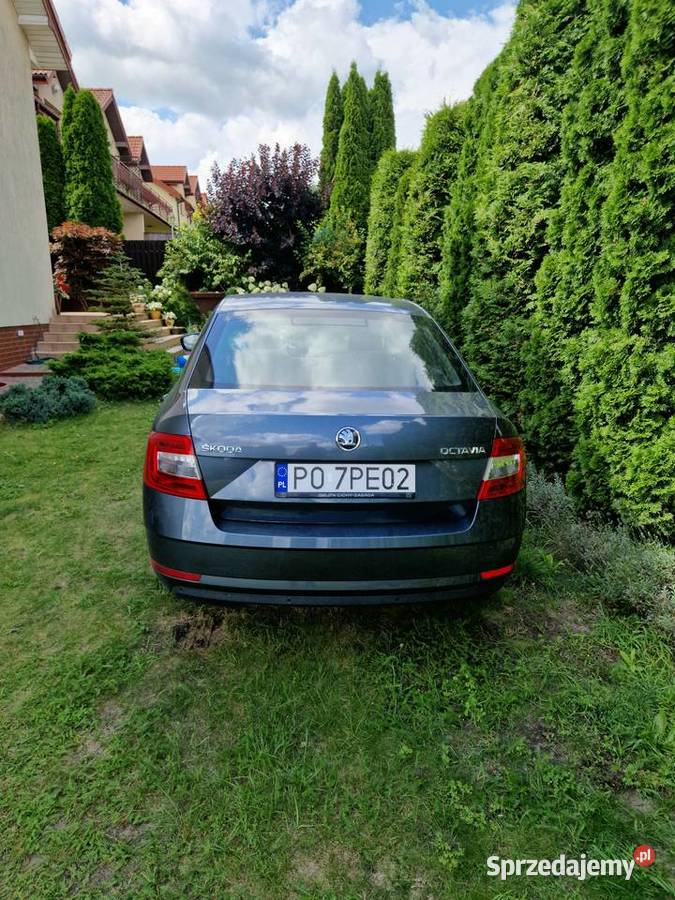 Skoda Octavia III 20 Tdi Ambition serwisowany w ASO Motoryzacja Białystok sprzedam