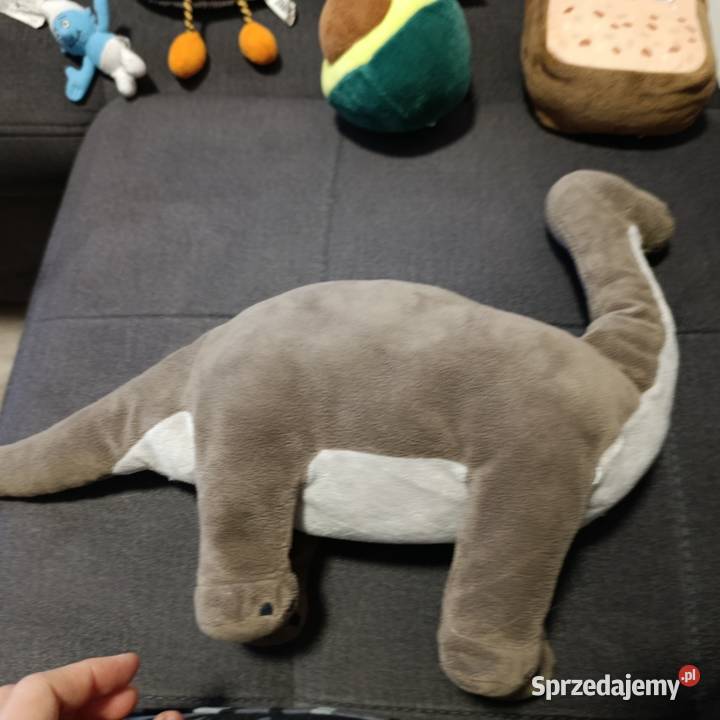 dinozaur gustaw Dino sasha 45 Poznań