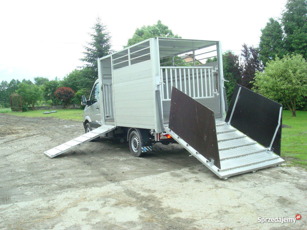 MERCEDS 315 CDI DO PRZEWOZU ZWIERZĄT VIEHTRANSPO ESP Kolbuszowa