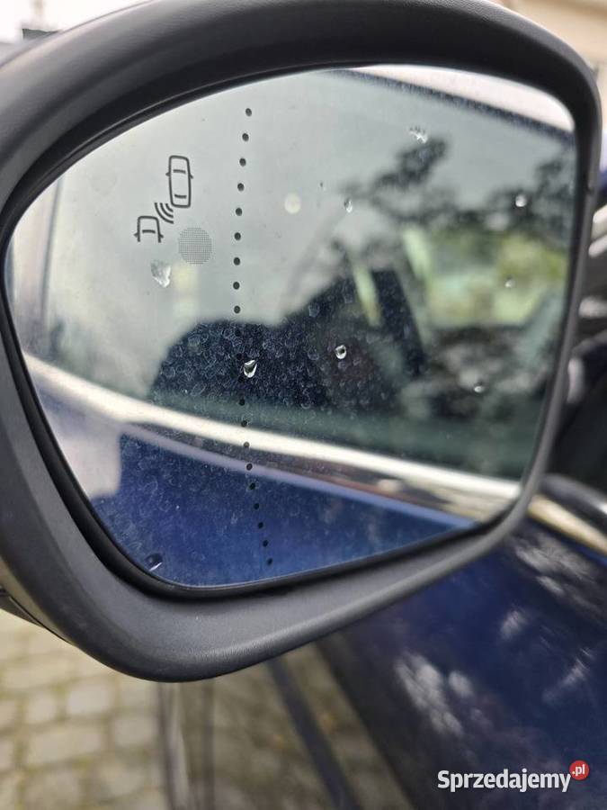 Renault Talisman polski salon prywatna osoba 260000km sprzedam