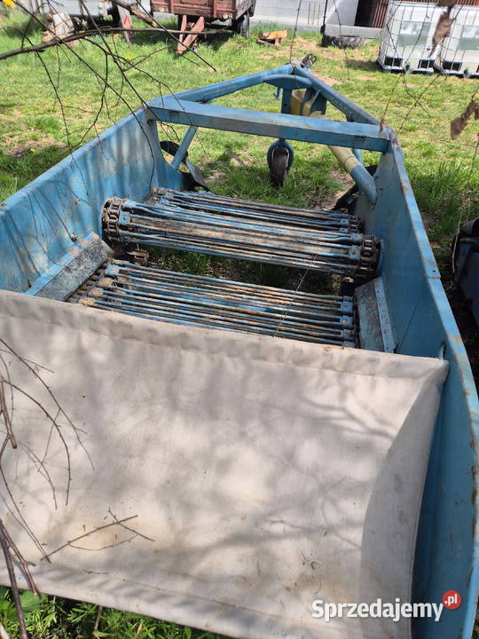 Kopaczka elewatorowa do ziemniaków Kopaczki Bucze