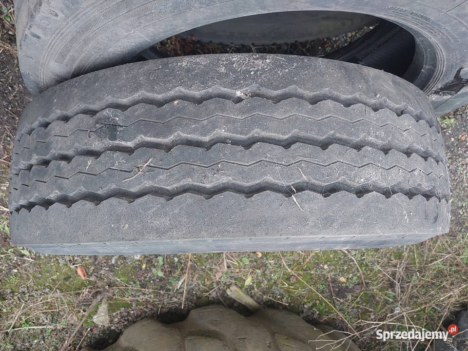 Opona MS Pirelli ST01 20565 175 65 Pleszew