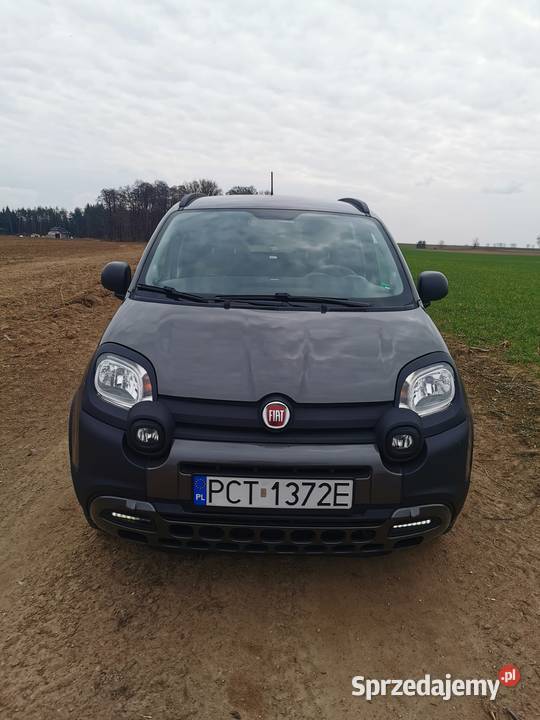 Fiat Panda Cross welurowa tapicerka Czarnków