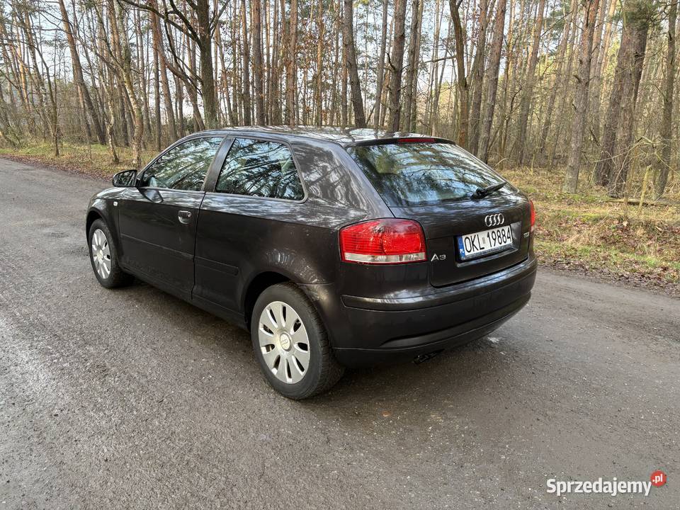 Audi A3 8P 19tdi 2005 zarejestrowane nowe ABS A3 Jelcz-Laskowice