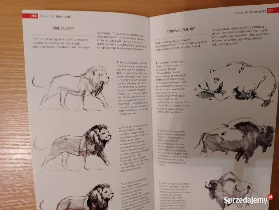 RYSOWANIE PRAKTYCZNY PODRĘCZNIK Ballestar Vigu Poznań
