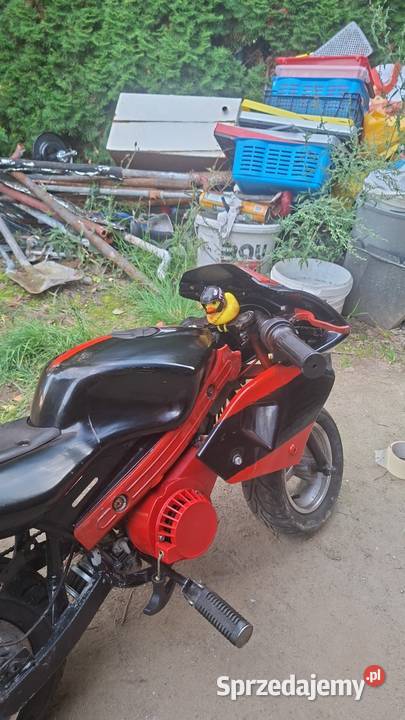 Pocket bike mini scigacz 50cc 2t Siekierki Wielkie