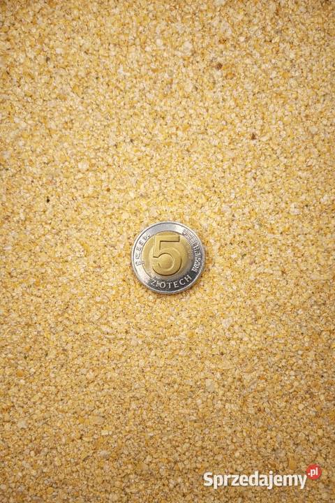 Groch żółty PASZOWY kruszony 25 kruszonka kur kujawsko-pomorskie Koronowo