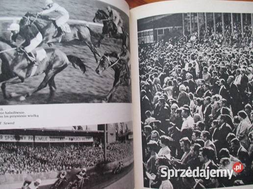 Wrocław wczoraj i dziś Wrocław architektura przyroda, krajobrazy Łódź sprzedam