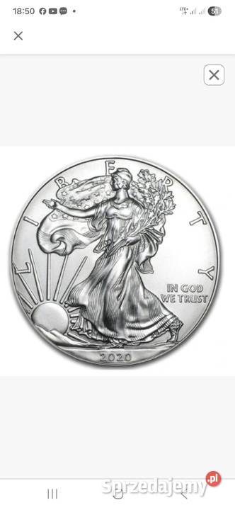 Amerykański orzeł moneta srebrna 1oz małopolskie