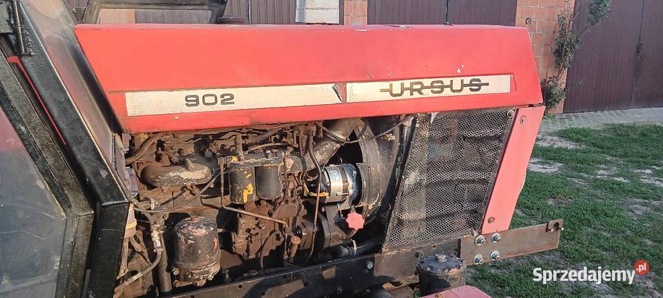 Ursus 385