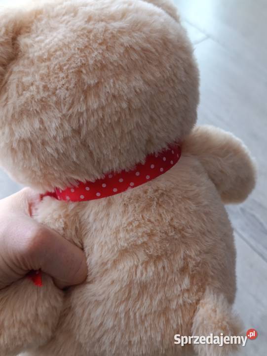 miś pluszak sprzedam Poznań