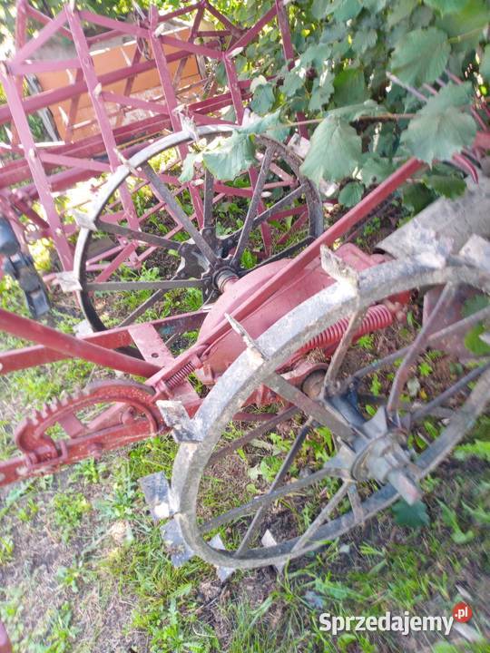 Kopaczka do ziemniaków nieuszkodzony Frampol sprzedam
