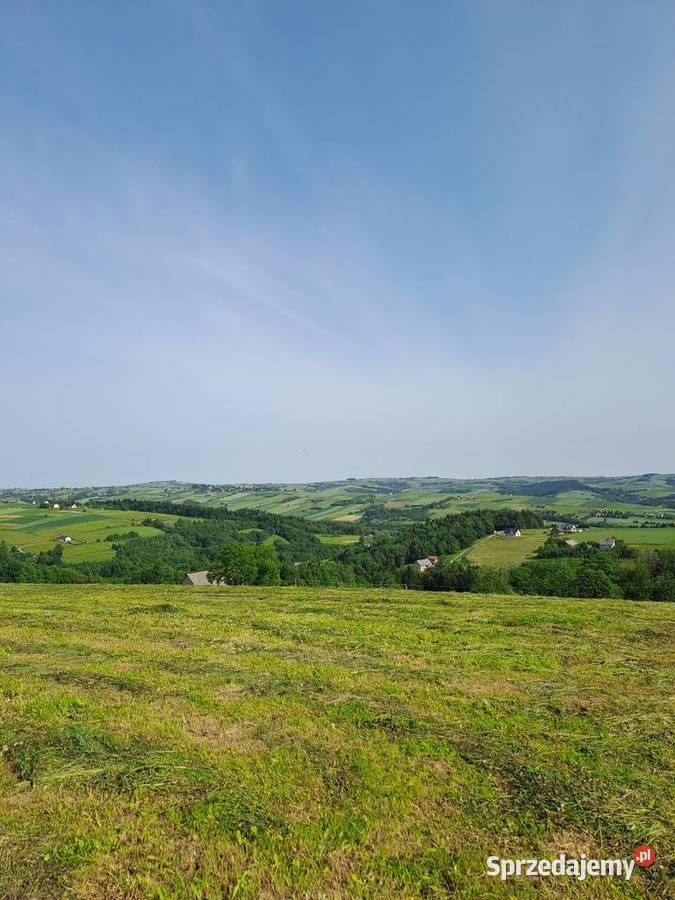 Apartament 3 Pokojowy Nowy Sącz Mogilno Parking