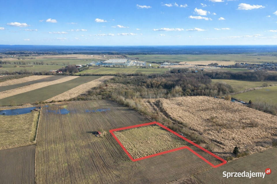 Działka pod hale magazynowo produkcyjną Smolęcin