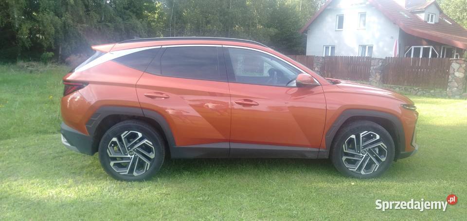 Hyundai Tucson 16 TGDi HEV Platinum 2WD kupiony w polskim salonie