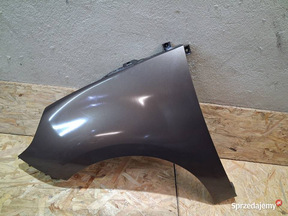 Renault Scenic III BŁOTNIK LEWY PRZÓD