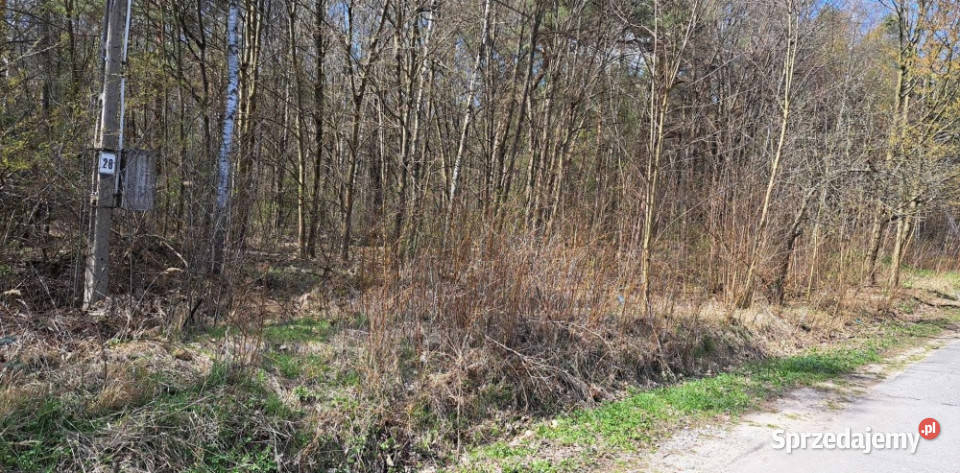 PROMOCJA Dwie działki w jednej Słynny zalew asfalt świętokrzyskie Przyłogi