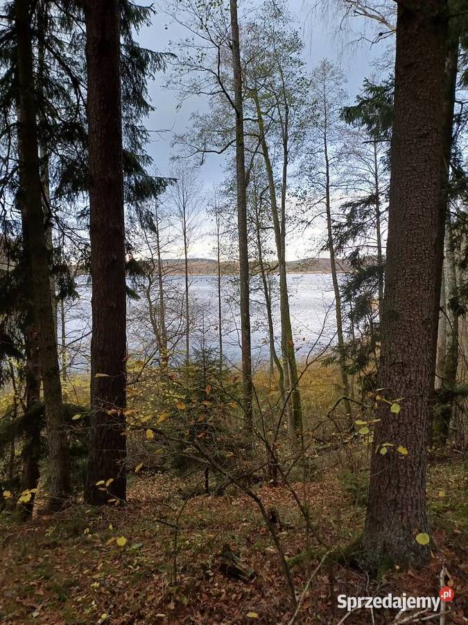 Dom jeziorem z własnym pomostem i źródłem Purda