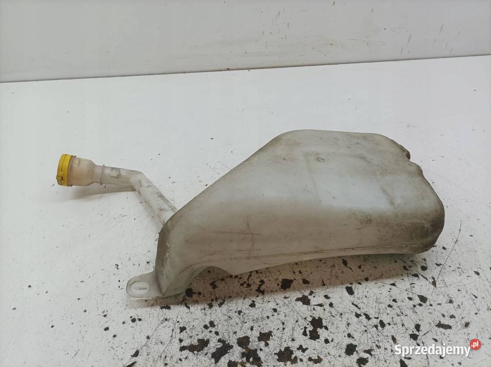 ZBIORNICZEK SPRYSKIWACZY 289100014R Renault sprzedam