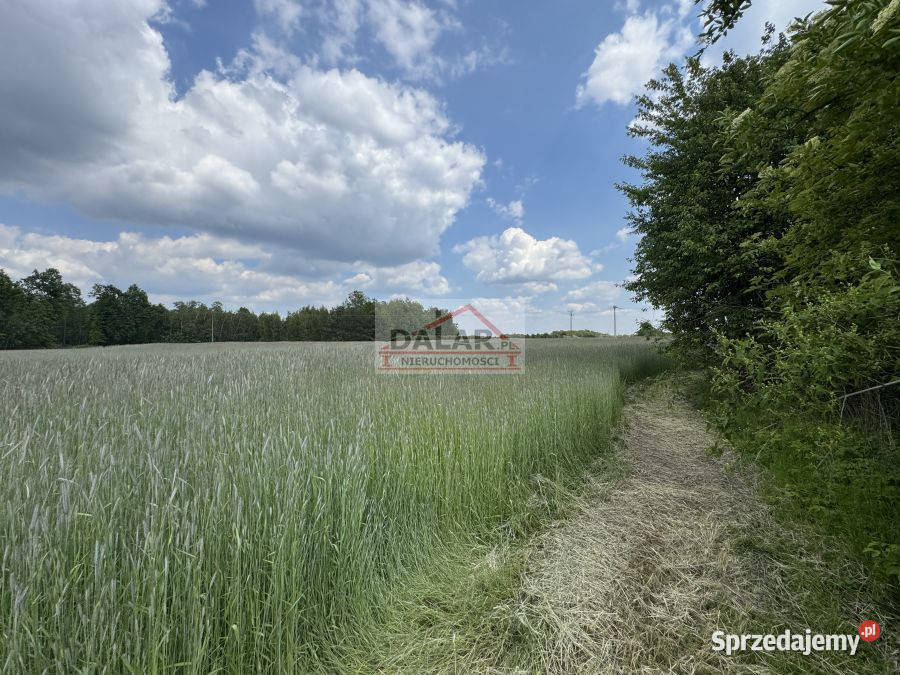Do sprzedaży grunt Janów 16900m2