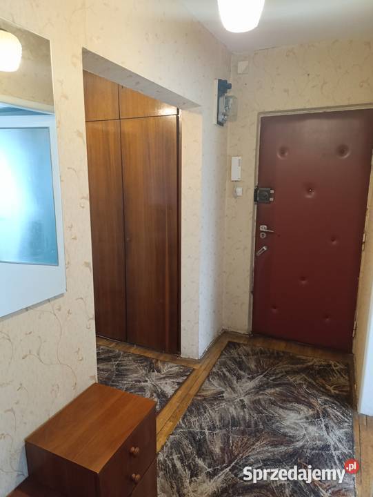 Wynajmę mieszkanie 3 pokojowe 2000 studenci Poznań sprzedam