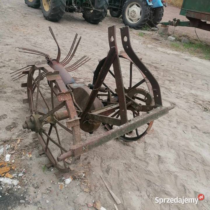 Kopaczka nieuszkodzony mazowieckie