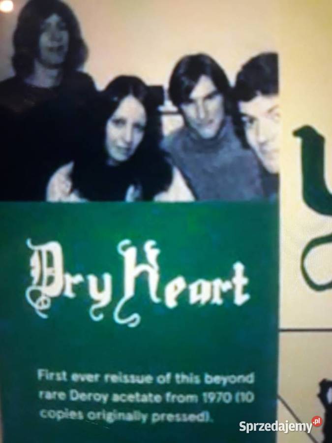 Archiwum prog rocka DRY HEART Dry Heart 1970 1 płyta Rzeszów