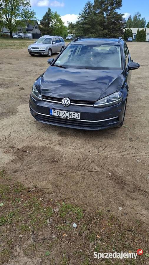 Golf VII Poznań