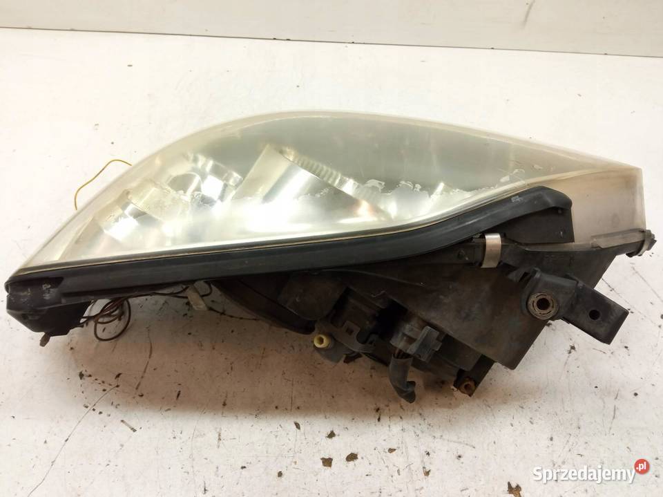 LAMPA PRZÓD LEWA P12 XENON EUROPA Nissan Primera sprzedam