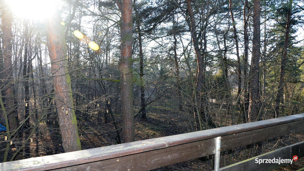 dom dąbrowa górnicza antoniów balkon Domy sprzedam