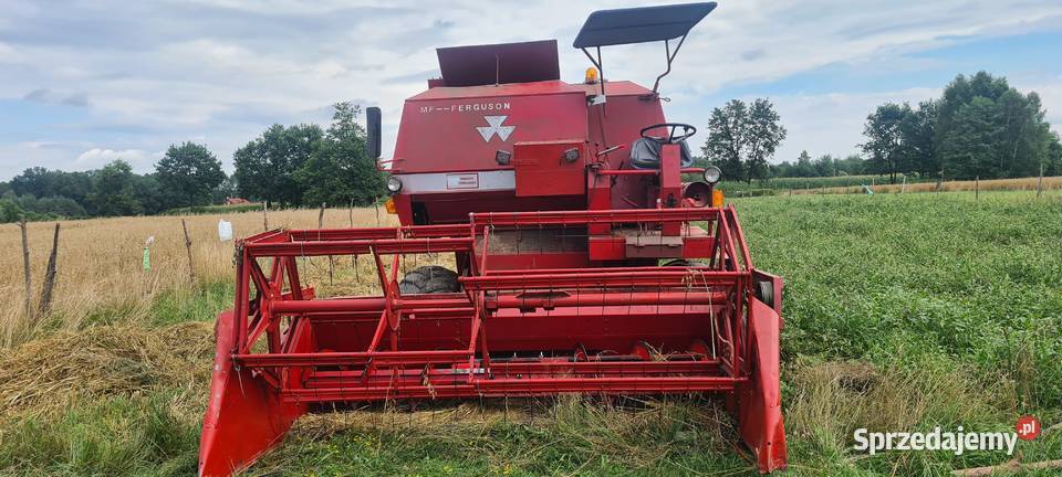 Massey Ferguson 487 nieuszkodzony małopolskie Brzesko