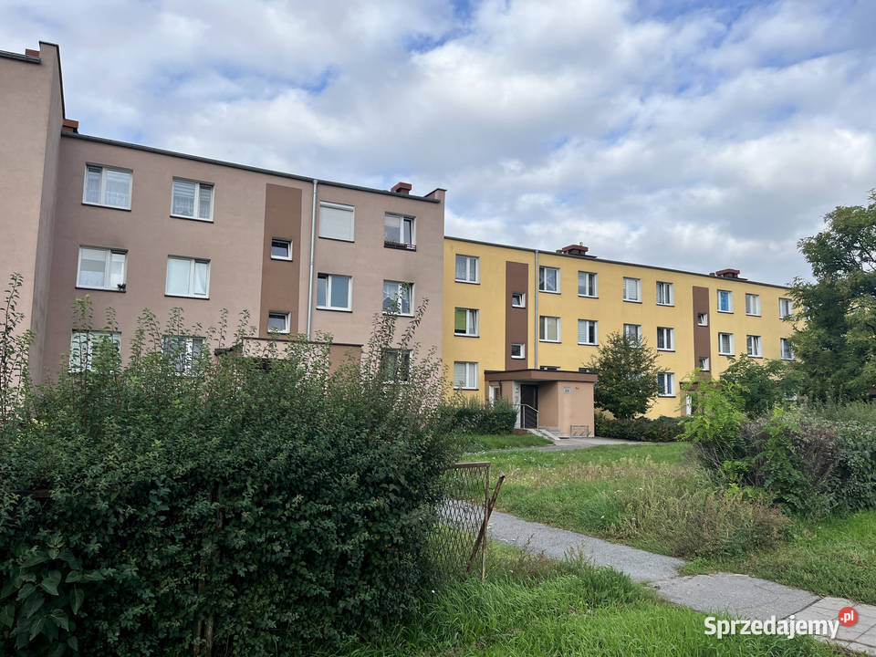 Sprzedam mieszkanie w Toruniu 36m2 Sprzedaż Toruń