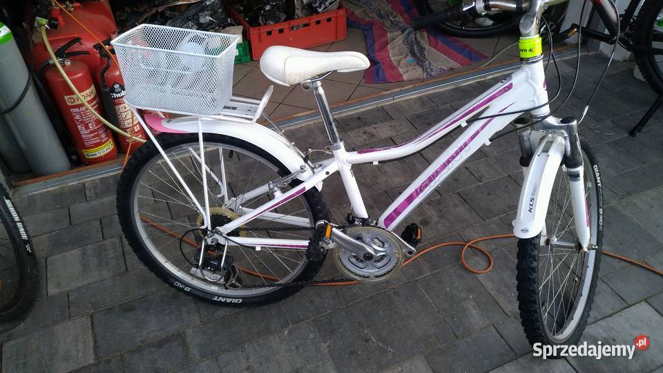 rower górski Giant dziewczynki Żabno