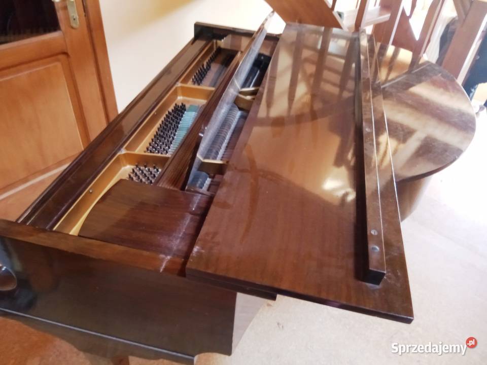Fortepian Challen 88 klawiszy 142 Poznań sprzedam
