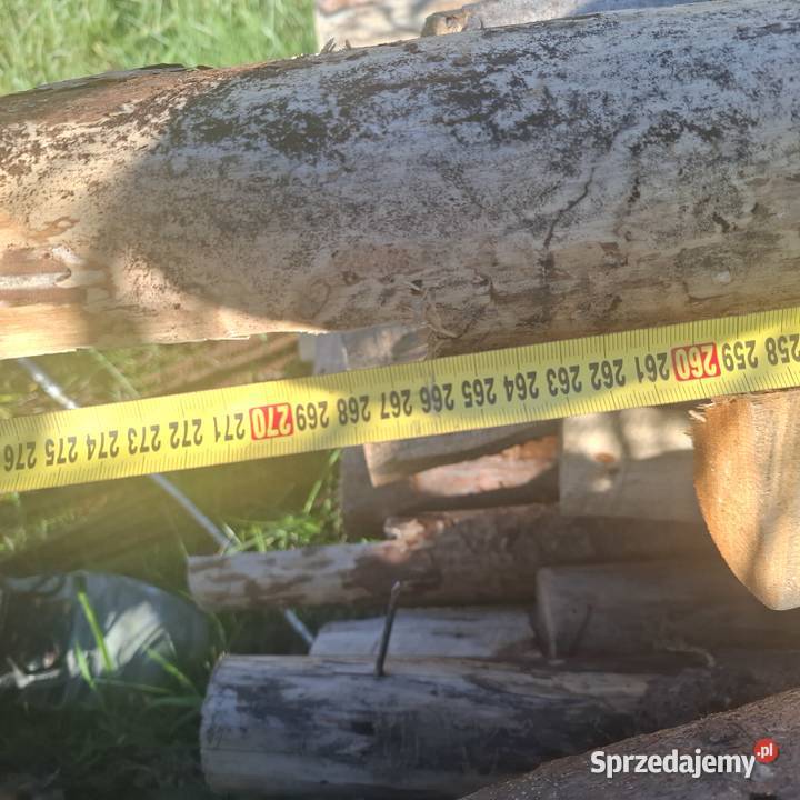 Stęple podkarpackie Jagodnik