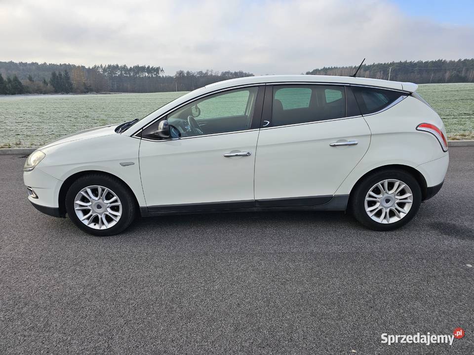 Lancia Delta Lancia delta 16 multijet 120 Polift Sulęcin sprzedam