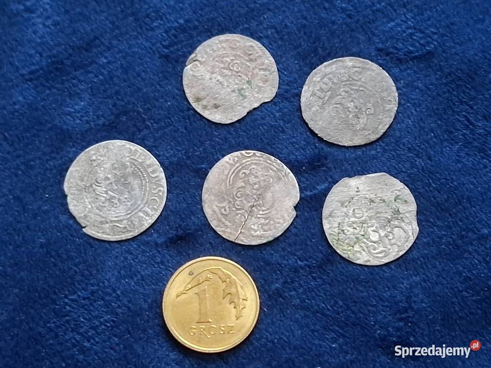 5 x szeląg z epoki Wazów 16111660 Wejherowo